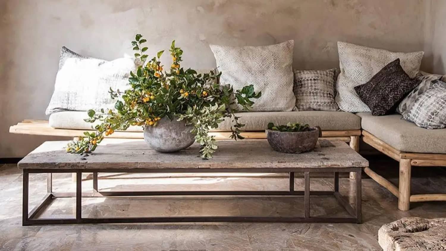 Best plant outlet for center table